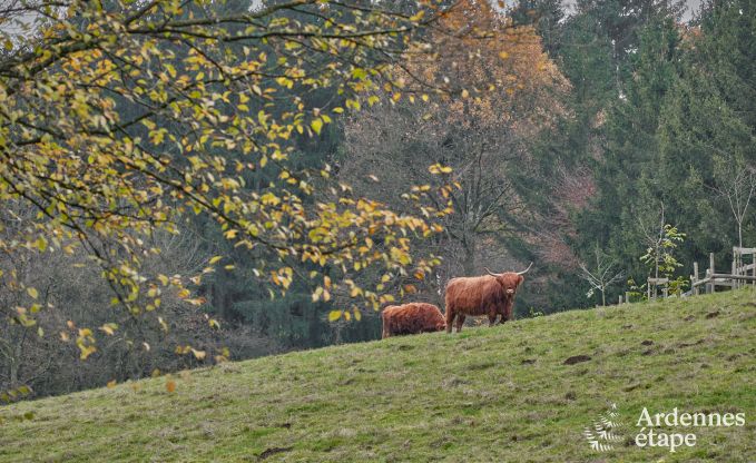 Maison de vacances  Fauvillers pour 10 personnes en Ardenne