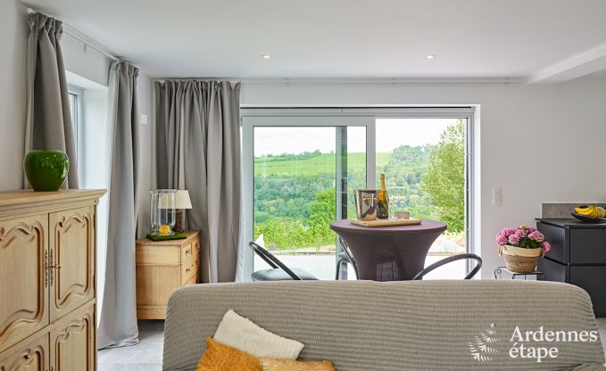 Moderne maison de vacances avec 5 chambres � Ferri�res, Ardenne