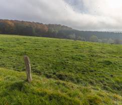 Maison de vacances à Framont (Paliseul) pour 8 personnes en Ardenne