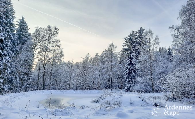 Roulotte romantique pour deux  Francorchamps, Hautes Fagnes