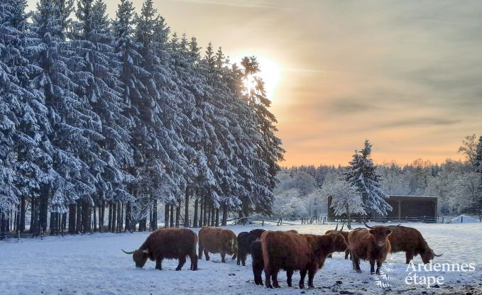 Roulotte romantique pour deux  Francorchamps, Hautes Fagnes