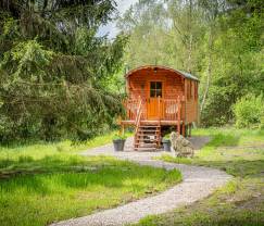 Roulotte romantique pour deux à Francorchamps, Hautes Fagnes
