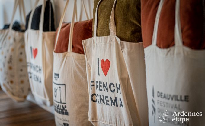 Appartement  Frasnes-lez-Anvaing pour 4/5 personnes