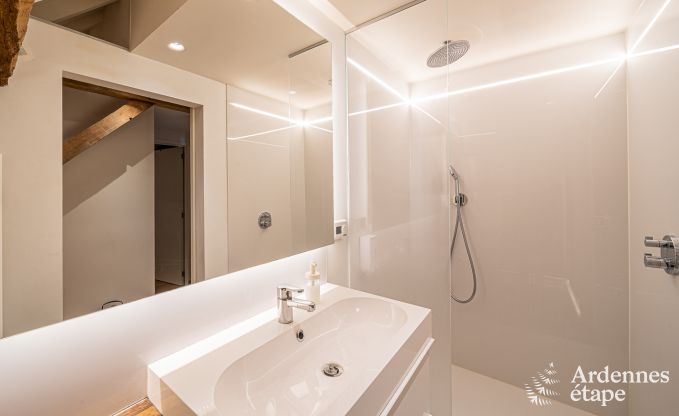 Appartement  Frasnes-lez-Anvaing pour 4/5 personnes