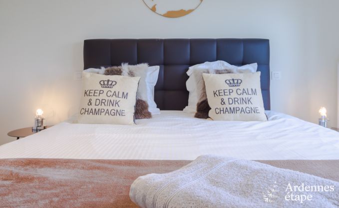 Villa de Luxe � Frasnes-lez-Anvaing