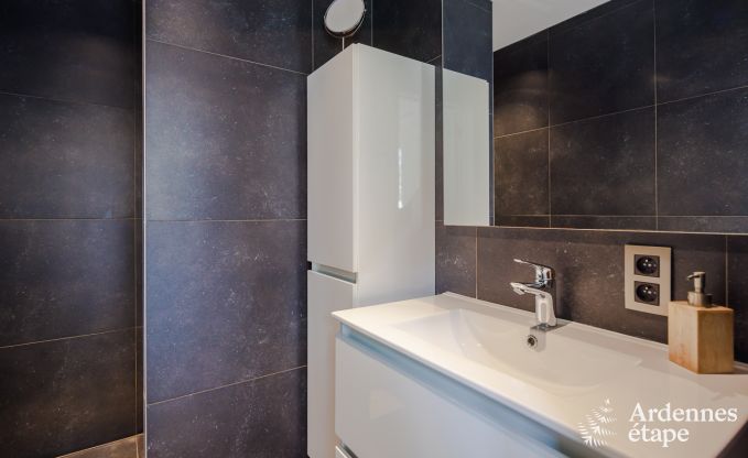 Villa de Luxe � Frasnes-lez-Anvaing