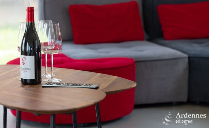 Villa de Luxe � Frasnes-lez-Anvaing