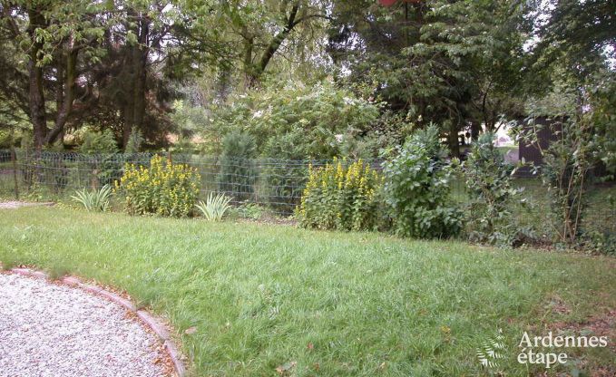 Maison de vacances  Froidchapelle pour 5 personnes en Ardenne