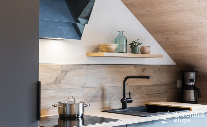 Appartement  Rienne pour 4 personnes en Ardenne