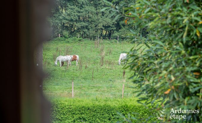 Conviviale et spacieuse maison de vacances  Gedinne, Ardenne