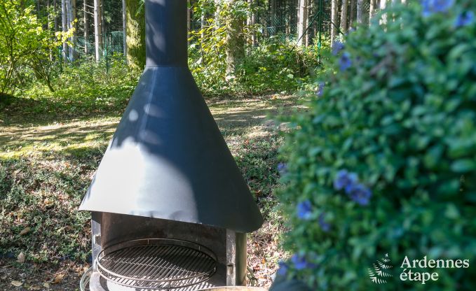 Villa de Luxe  Gedinne pour 18 personnes en Ardenne