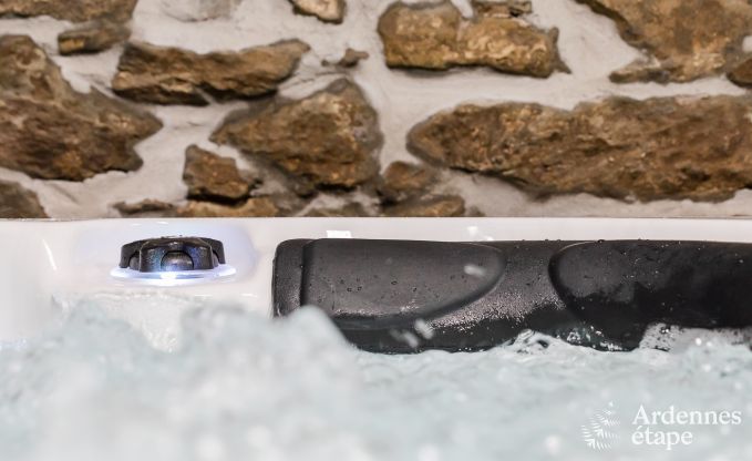 Maison de vacances  Gedinne pour 13 personnes en Ardenne