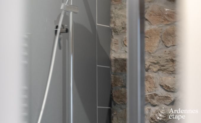 Maison de vacances  Gedinne pour 13 personnes en Ardenne