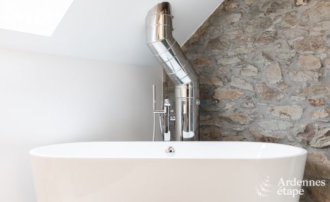 Maison de vacances  Gedinne pour 13 personnes en Ardenne