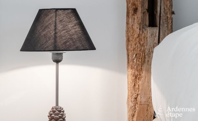 Maison de vacances  Gedinne pour 13 personnes en Ardenne