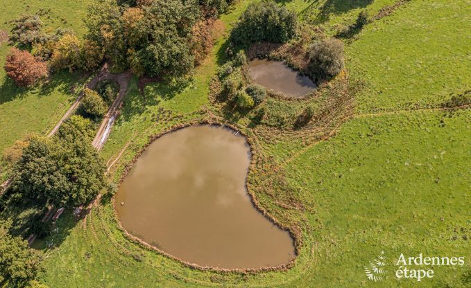 Maison chien admis confortable pour 4 personnes  Gesves, Ardenne