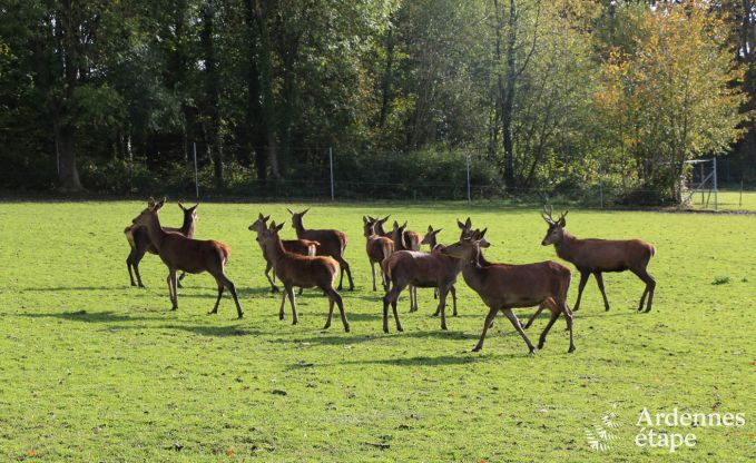 Maison de vacances  Gesves pour 8 personnes en Ardenne