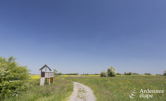 Villa de Luxe  Gesves pour 13/14 personnes en Ardenne