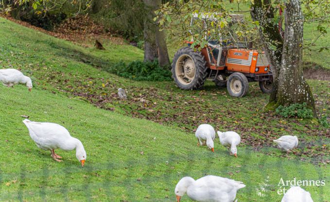 Maison de vacances  Givet (en France) pour 7 personnes et 1 chien