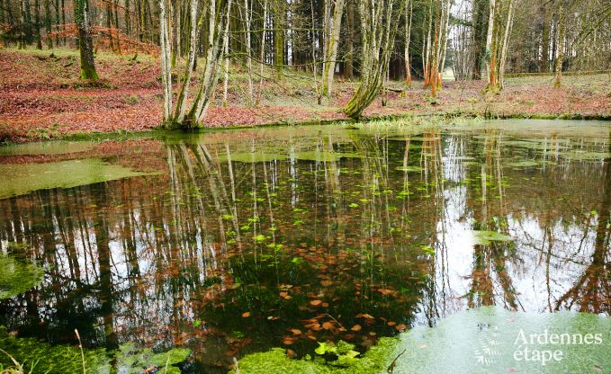 Chteau  Gouvy pour 32 personnes en Ardenne