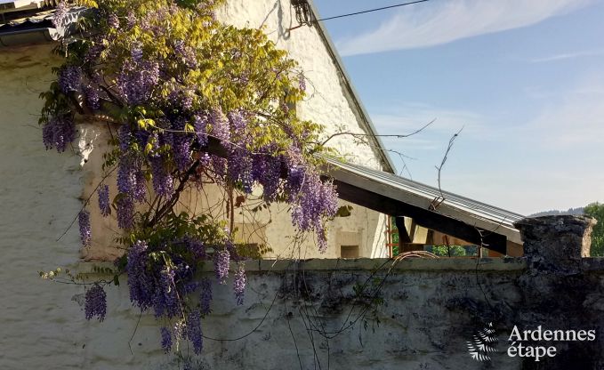 Maison de vacances  Gouvy pour 9 personnes en Ardenne