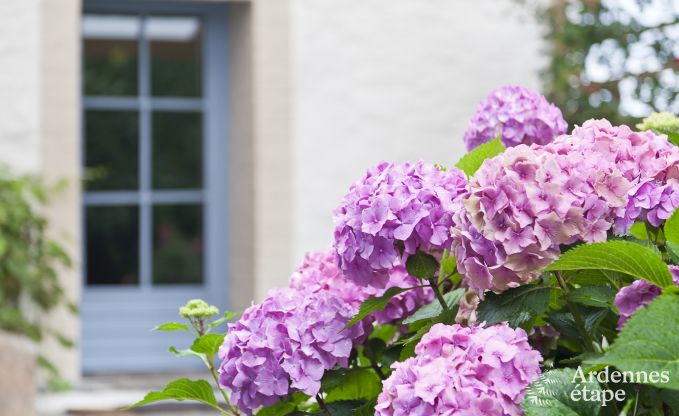 Maison de vacances  Gouvy pour 9 personnes en Ardenne