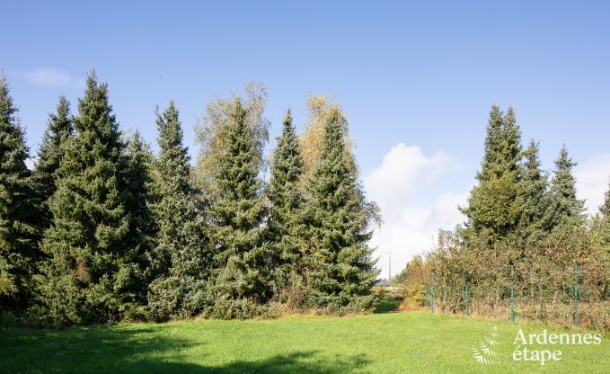 Maison de vacances  Hamois pour 13 personnes en Ardenne