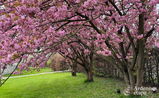 Charmante maison pour 8 personnes � Hamois avec 4 chambres, 3 salles de bains, jardin priv�, salle de jeux et terrasse au bord de l'eau