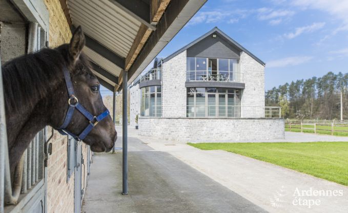 Grande maison de vacances en deux btiments  Han-sur-Lesse pour 13 personnes avec piscine intrieure