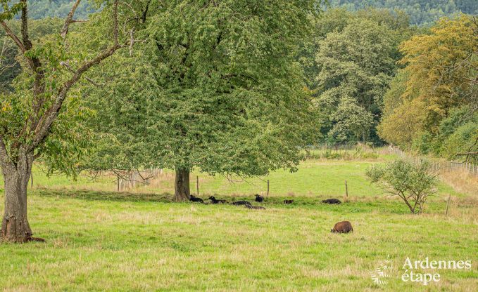 Maison de vacances � H�ron pour 12 personnes en Ardenne