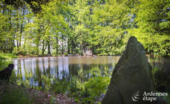 Villa de Luxe  Hockai pour 38 personnes en Ardenne