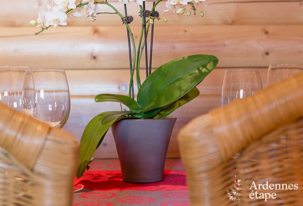 Maison de vacances  Hockai pour 4/5 personnes en Ardenne