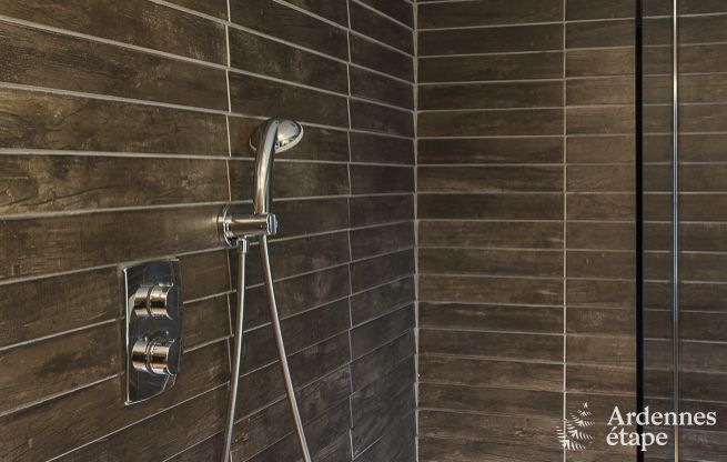 Gite de charme  Hotton pour 9 personnes en Ardenne