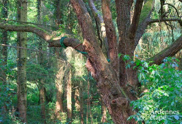 Gite de charme  Hotton pour 9 personnes en Ardenne