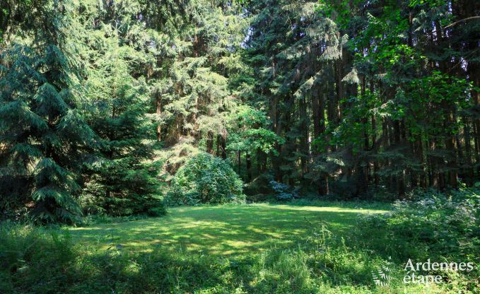 Gite de charme  Hotton pour 9 personnes en Ardenne