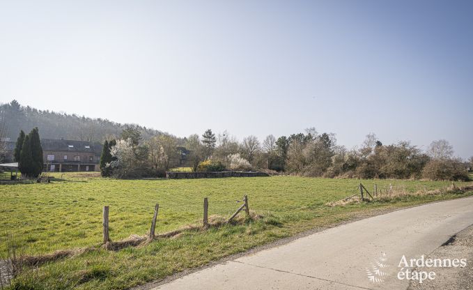 Villa de Luxe  Hotton pour 12 personnes en Ardenne