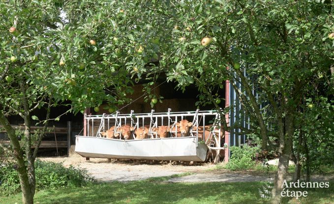 Maison de vacances  Houffalize pour 28 personnes en Ardenne