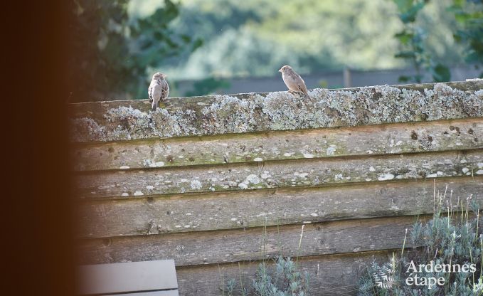 Maison de vacances  Houffalize pour 28 personnes en Ardenne