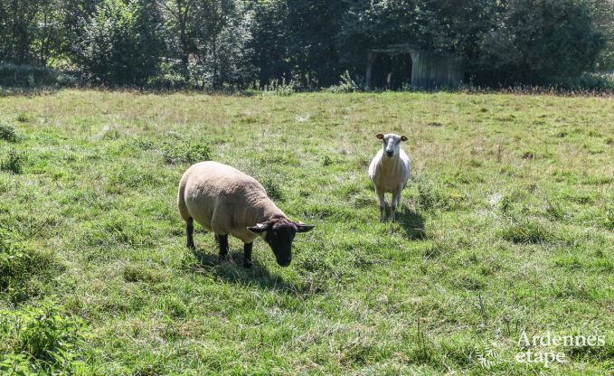 Maison de vacances  Houffalize pour 16 personnes en Ardenne