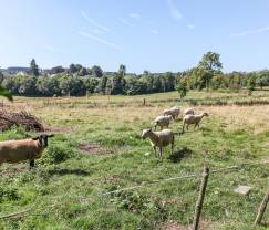 Maison de vacances à Houffalize pour 16 personnes en Ardenne