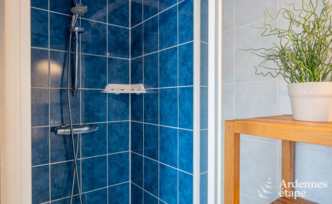 Maison de vacances  Houffalize pour 11 personnes en Ardenne