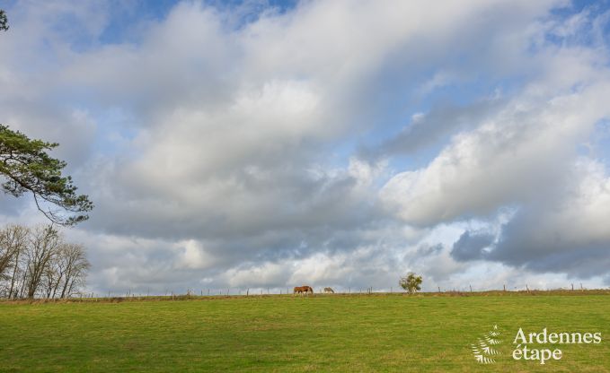 Maison de vacances isole avec piscine  Houyet, Ardenne