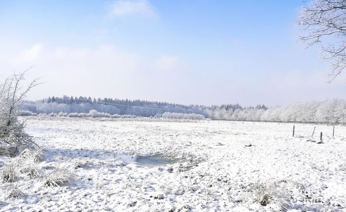 Maison de vacances  Jalhay (Spa) pour 9 personnes en Ardenne