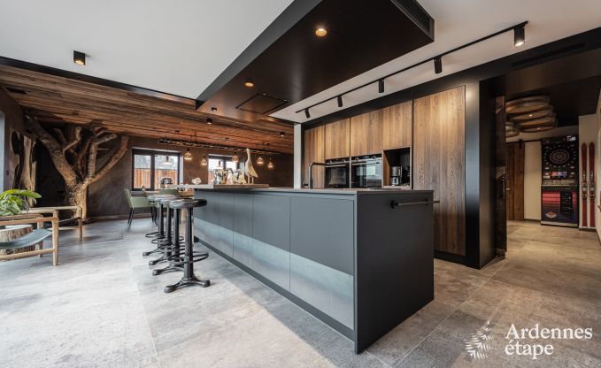 Villa de Luxe  Jalhay pour 14 personnes en Ardenne