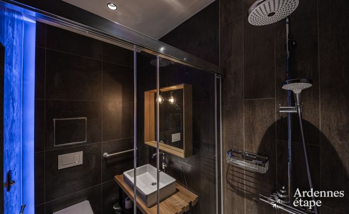 Villa de Luxe  Jalhay pour 14 personnes en Ardenne