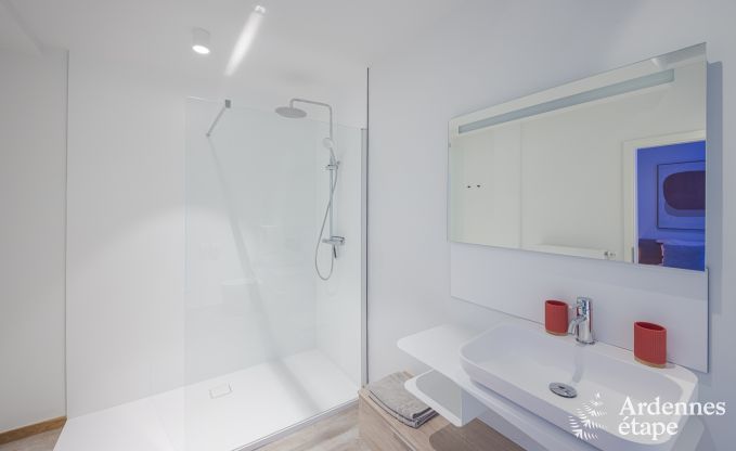 Villa de Luxe  Jalhay pour 14 personnes en Ardenne