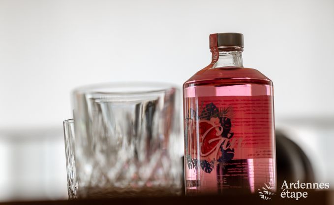 Villa de Luxe  Jalhay pour 14 personnes en Ardenne