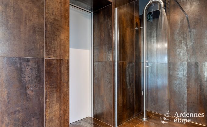 Villa de Luxe  Jalhay pour 14 personnes en Ardenne