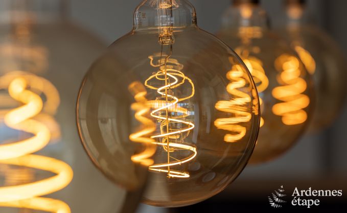 Villa de Luxe  Jalhay pour 14 personnes en Ardenne