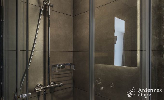 Villa de Luxe � Jalhay pour 14/15 personnes en Ardenne